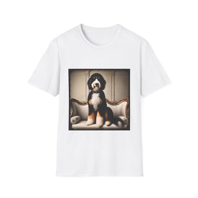 Bernedoodle
