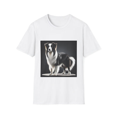 Collie