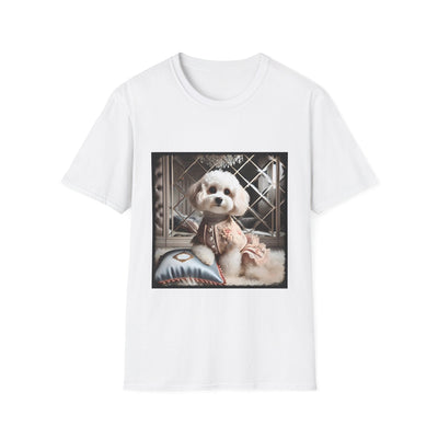 Cavapoo
