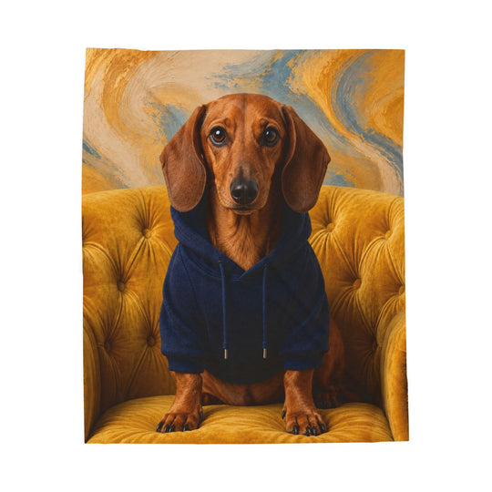 A dachshund wearing a navy blue hoodie, sitting on a yellow tufted armchair against an abstract swirling yellow and blue background.